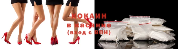 стафф Арсеньев