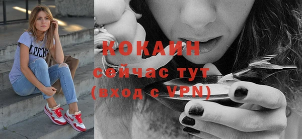 стафф Арсеньев